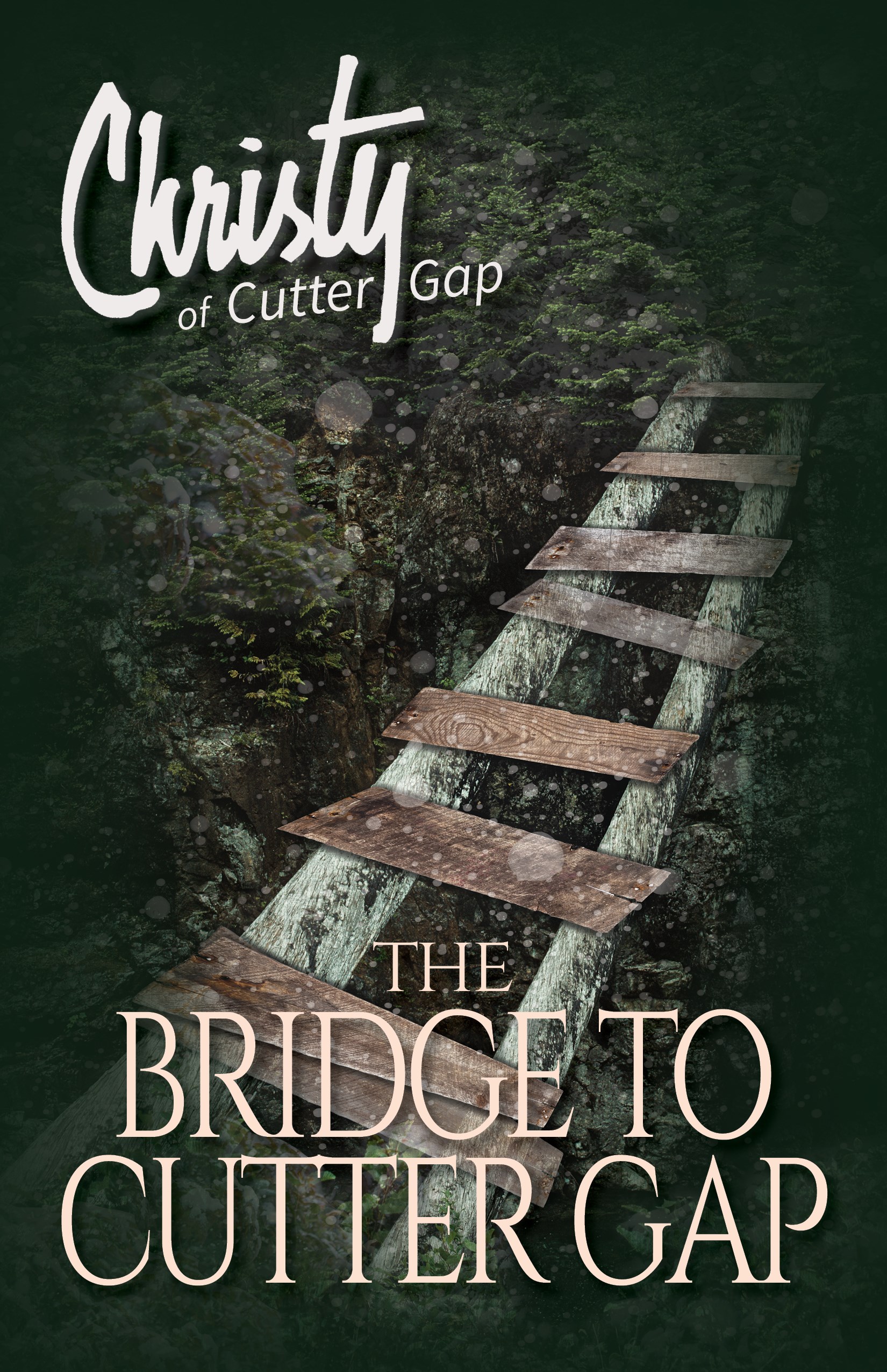 The Bridge To Cutter Gap (Christy Of Cutter Gap 1) 9781683701576 eBay