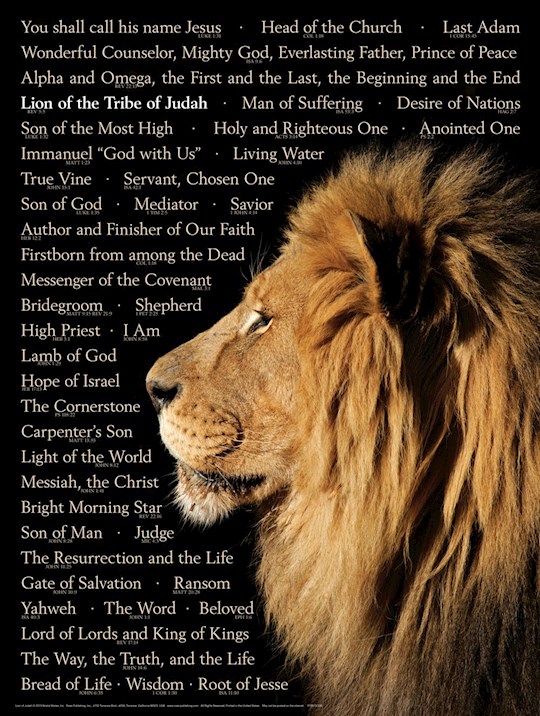 {=Chart-Lion Of The Tribe Of Judah Wall (Laminated Sheet) (19" x 26")}
