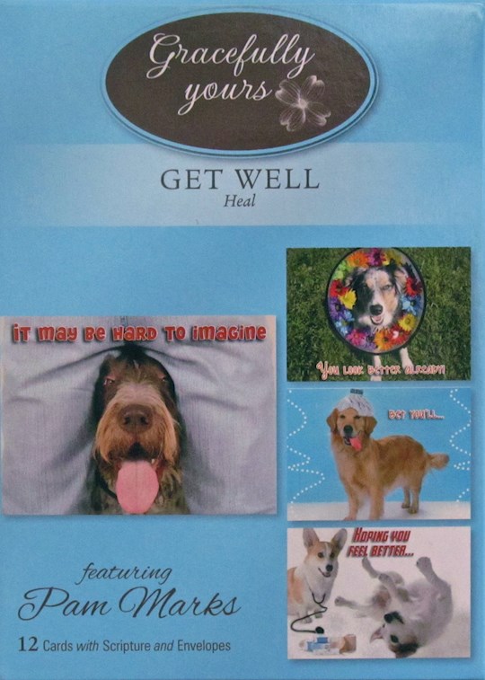 {=CARD-BOXED-GET WELL-HEAL #120 (BOX OF 12)}