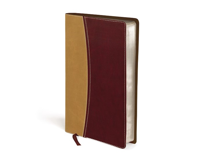 {=Amplified Holy Bible/Compact (Revised)-Camel/Burgundy DuoTone}