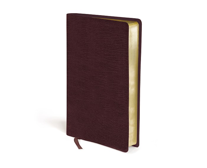 {=Amplified Holy Bible/Large Print (Revised)-Burgundy Bonded Leather}