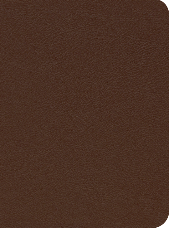 {=ESV Reformation Study Bible-Brown Premium Leather}