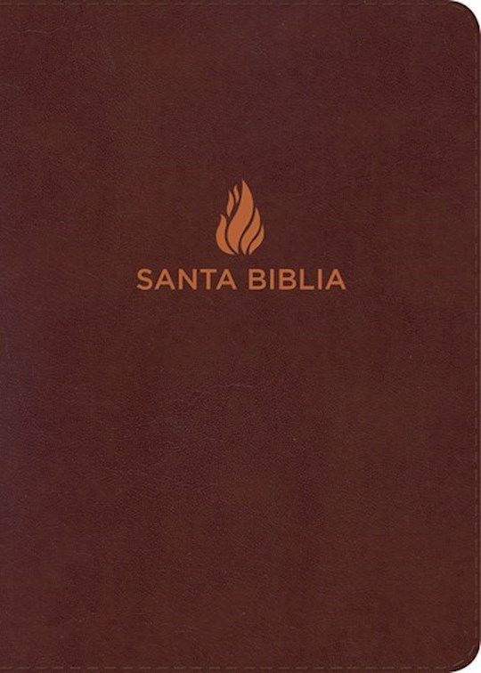 {=Span-NIV Hand Size Giant Print Bible (Biblia Letra Grande Tamano Manual)-Brown Bonded Leather }