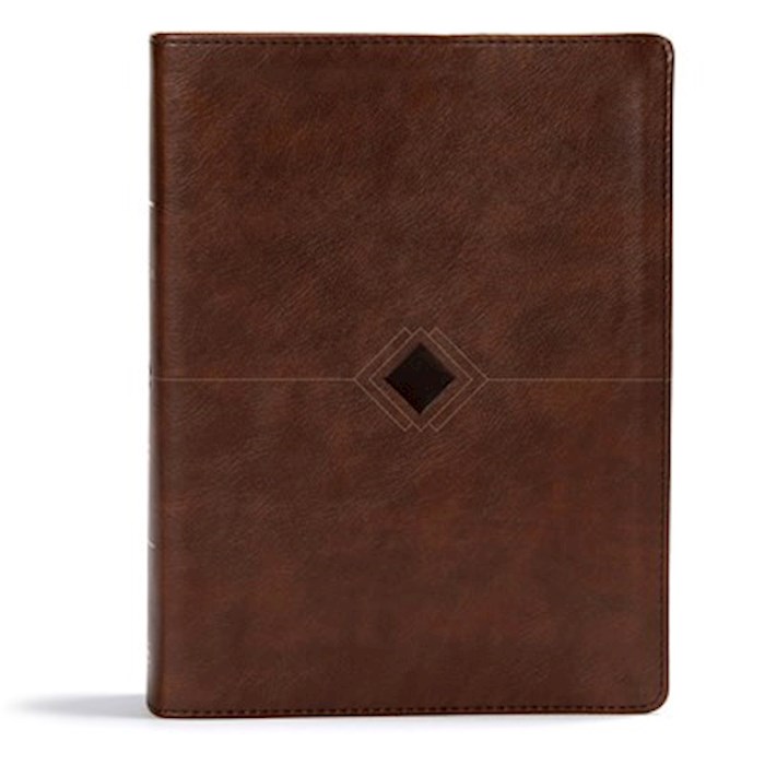 {=CSB Day-By-Day Chronological Bible-Brown LeatherTouch}