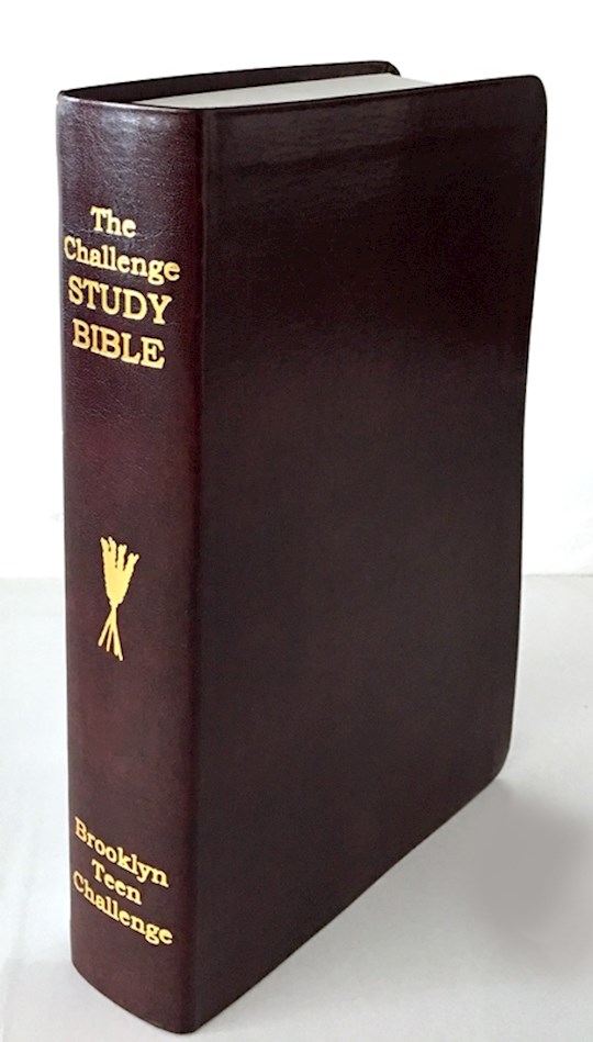 {=CEV CHALLENGE STUDY BIBLE-FLEXI COVER (NEW)}