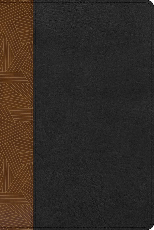 {=Span-RVR 1960 Rainbow Study Bible (Biblia de Estudio Acro Iris)-Tan/Black Imitation Leather}