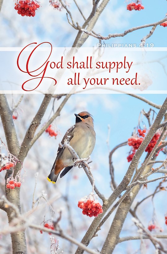 {=Bulletin-God Shall Supply All Your Need (Philippians 4:19) (Pack Of 100)}