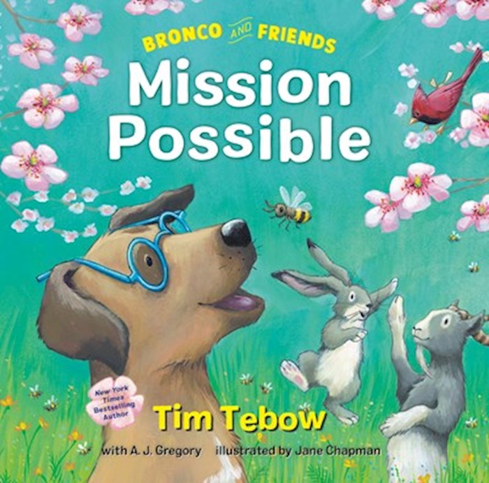{=Bronco And Friends: Mission Possible}