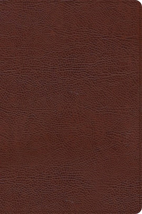 {=CSB Large Print Thinline Bible-Brown Bonded Leather Indexed}