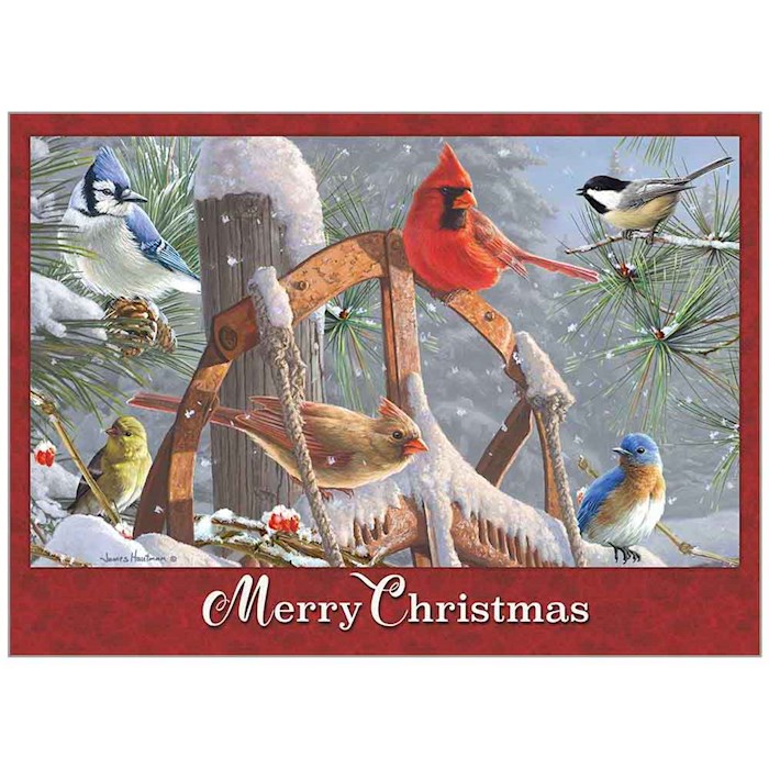 {=Card-Boxed-Christmas-Fresh Snow  (John 1:16 NLT) (Box Of 20)}
