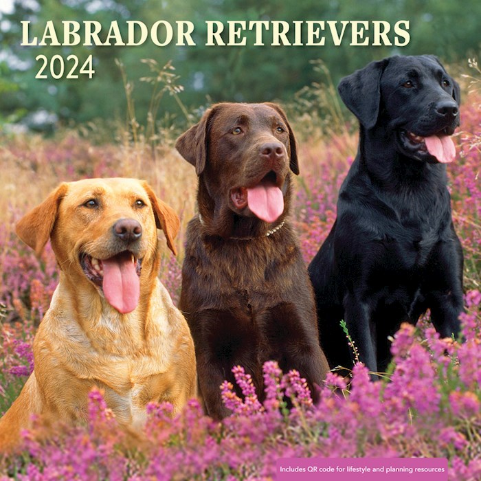 {=2024 Labrador Retrievers Wall Calender}