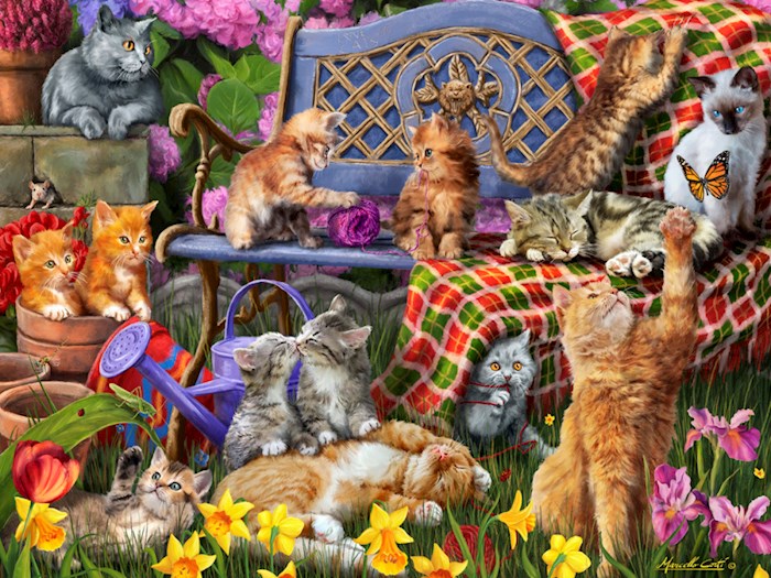 {=Jigsaw Puzzle-Cats Galore (550 Pieces)}