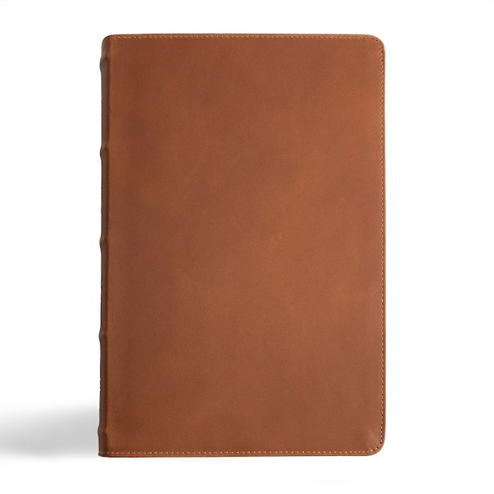 {=CSB Men's Daily Bible-Brown Genuine Leather}
