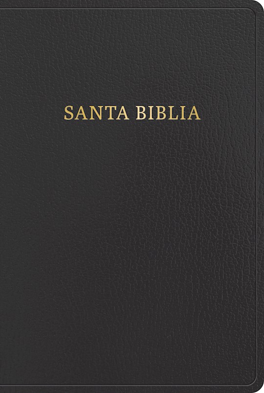 {=Span-RVR 1960 Giant Print Bible (Biblia Letra Gigante)-Black Imitation Leather}